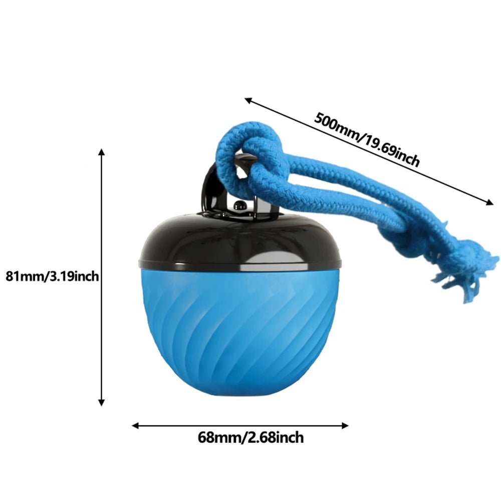 USB Rechargeable Motion - Activated Rolling Dog Ball - Digwee