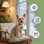 Warm Breathable Dog Harness Set - Digwee