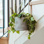 Woven Hanging Planter Basket for Indoor/Outdoor Use - Digwee