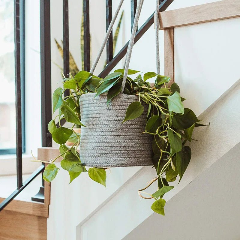 Woven Hanging Planter Basket for Indoor/Outdoor Use - Digwee